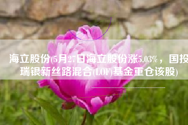 海立股份(5月27日海立股份涨5.03%，国投瑞银新丝路混合(LOF)基金重仓该股)
