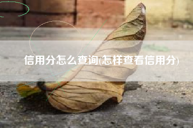 信用分怎么查询(怎样查看信用分)