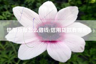 信用分低怎么借钱(信用贷款有哪些？)