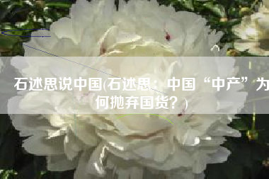 石述思说中国(石述思：中国“中产”为何抛弃国货？)