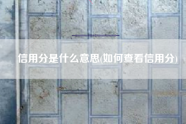 信用分是什么意思(如何查看信用分)