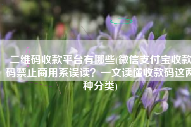 二维码收款平台有哪些(微信支付宝收款码禁止商用系误读？一文读懂收款码这两种分类)