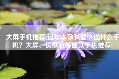 大屏手机推荐(过年孝敬长辈该送什么手机？大屏、长续航等四款手机推荐)