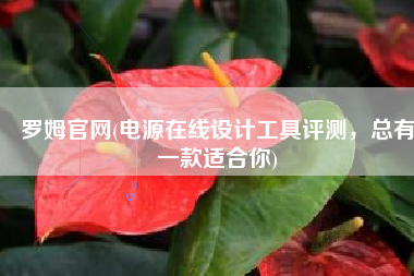 罗姆官网(电源在线设计工具评测，总有一款适合你)