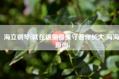 海立钢琴(就在这里慢慢守着你长大 海海 原创)