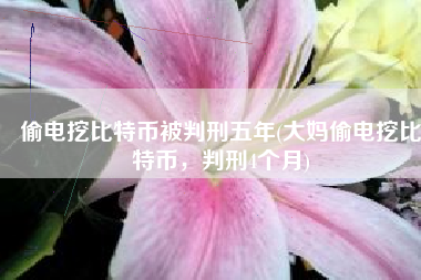 偷电挖比特币被判刑五年(大妈偷电挖比特币，判刑4个月)
