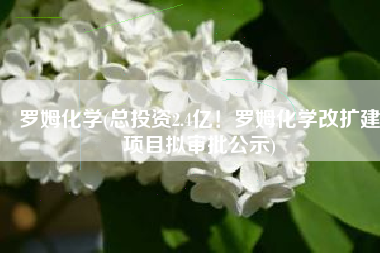 罗姆化学(总投资2.4亿！罗姆化学改扩建项目拟审批公示)