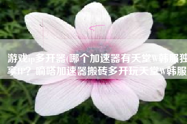 游戏ip多开器(哪个加速器有天堂W韩服独享IP？嘀嗒加速器搬砖多开玩天堂W韩服)