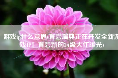 游戏ip什么意思(育碧瑞典正在开发全新游戏IP！育碧新的3A级大作曝光)