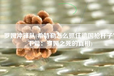 罗姆冲锋队(希特勒怎么抓住德国枪杆子？下篇：罗姆之死的真相)