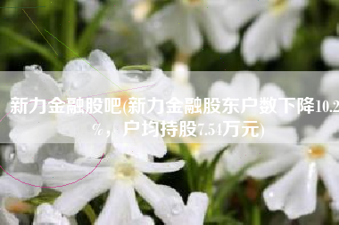 新力金融股吧(新力金融股东户数下降10.23%，户均持股7.54万元)
