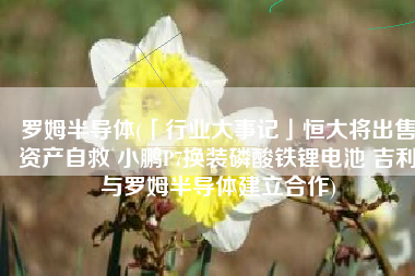 罗姆半导体(「行业大事记」恒大将出售资产自救 小鹏P7换装磷酸铁锂电池 吉利与罗姆半导体建立合作)