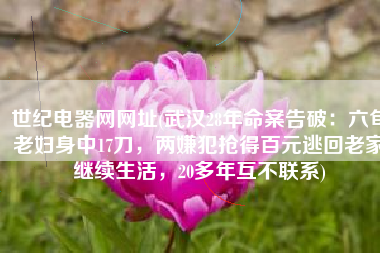 世纪电器网网址(武汉28年命案告破：六旬老妇身中17刀，两嫌犯抢得百元逃回老家继续生活，20多年互不联系)