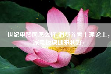 世纪电器网怎么样(消费参考丨理论上，家电板块迎来利好)
