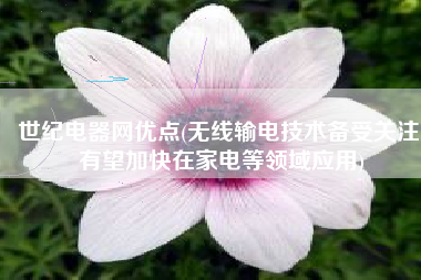 世纪电器网优点(无线输电技术备受关注 有望加快在家电等领域应用)