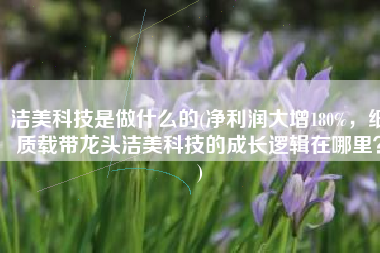 洁美科技是做什么的(净利润大增180%，纸质载带龙头洁美科技的成长逻辑在哪里？)