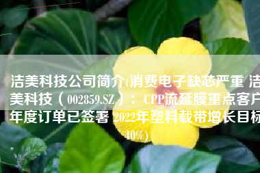 洁美科技公司简介(消费电子缺芯严重 洁美科技（002859.SZ）：CPP流延膜重点客户年度订单已签署 2022年塑料载带增长目标40%)