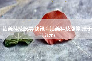 洁美科技股票(快讯：洁美科技涨停 报于38.24元)