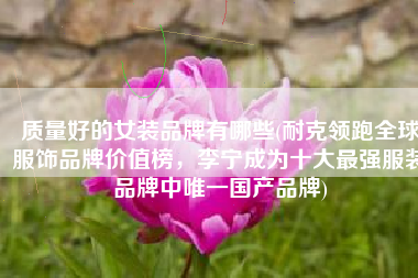 质量好的女装品牌有哪些(耐克领跑全球服饰品牌价值榜，李宁成为十大最强服装品牌中唯一国产品牌)