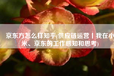 京东方怎么样知乎(供应链运营丨我在小米、京东的工作感知和思考)
