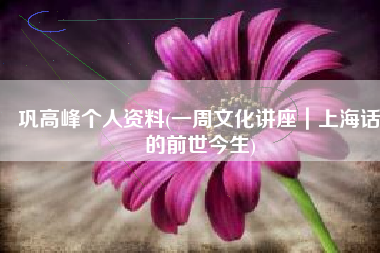 巩高峰个人资料(一周文化讲座｜上海话的前世今生)