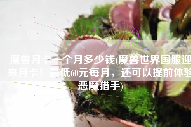 魔兽月卡一个月多少钱(魔兽世界国服迎来月卡！最低60元每月，还可以提前体验恶魔猎手)