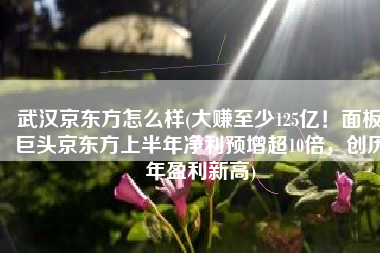 武汉京东方怎么样(大赚至少125亿！面板巨头京东方上半年净利预增超10倍，创历年盈利新高)