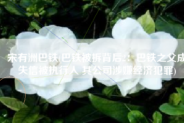 宋有洲巴铁(巴铁被拆背后2：巴铁之父成失信被执行人 其公司涉嫌经济犯罪)