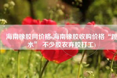 海南橡胶网价格(海南橡胶收购价格“跳水” 不少胶农弃胶打工)