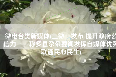 微电台类新媒体(三微一发布 提升政府公信力——称多县尕朵要闻发挥自媒体优势联通民心民生)