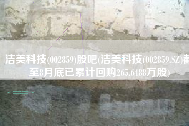 洁美科技(002859)股吧(洁美科技(002859.SZ)截至8月底已累计回购265.6488万股)