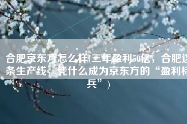 合肥京东方怎么样(三年盈利50亿，合肥这条生产线，凭什么成为京东方的“盈利标兵”)