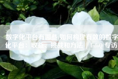 数字化平台有哪些(如何构建有效的数字化平台：收益、挑战和方法 | InfoQ 专访)