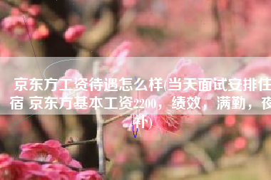 京东方工资待遇怎么样(当天面试安排住宿 京东方基本工资2200，绩效，满勤，夜补)