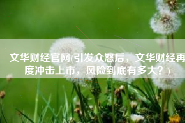 文华财经官网(引发众怒后，文华财经再度冲击上市，风险到底有多大？)