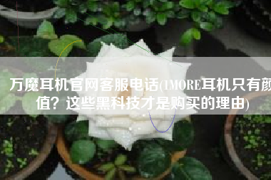 万魔耳机官网客服电话(1MORE耳机只有颜值？这些黑科技才是购买的理由)