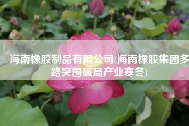 海南橡胶制品有限公司(海南橡胶集团多路突围破局产业寒冬)