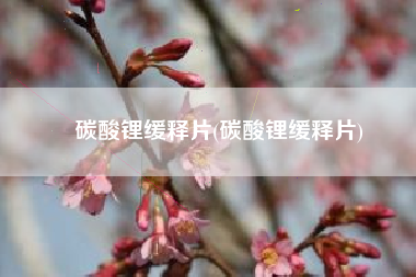 碳酸锂缓释片(碳酸锂缓释片)