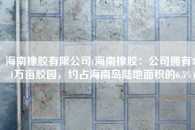 海南橡胶有限公司(海南橡胶：公司拥有341万亩胶园，约占海南岛陆地面积的6.5%)