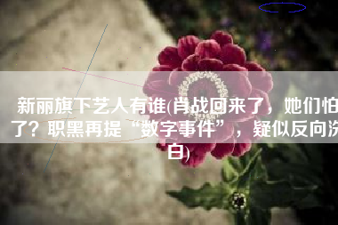 新丽旗下艺人有谁(肖战回来了，她们怕了？职黑再提“数字事件”，疑似反向洗白)