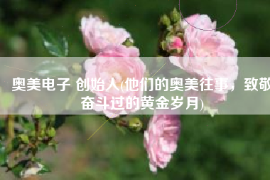 奥美电子 创始人(他们的奥美往事，致敬奋斗过的黄金岁月)