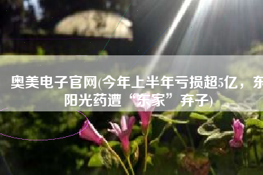 奥美电子官网(今年上半年亏损超5亿，东阳光药遭“东家”弃子)
