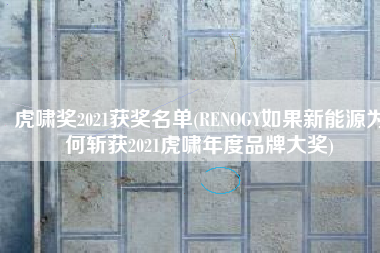 虎啸奖2021获奖名单(RENOGY如果新能源为何斩获2021虎啸年度品牌大奖)