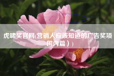 虎啸奖官网(营销人应该知道的广告奖项（国内篇）)