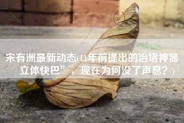 宋有洲最新动态(11年前提出的治堵神器“立体快巴”，现在为何没了声息？)