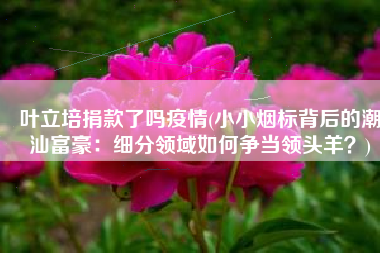 叶立培捐款了吗疫情(小小烟标背后的潮汕富豪：细分领域如何争当领头羊？)
