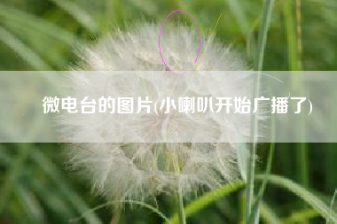 微电台的图片(小喇叭开始广播了)