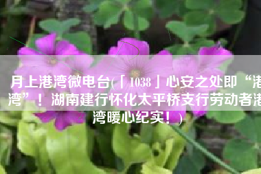 月上港湾微电台(「1038」心安之处即“港湾”！湖南建行怀化太平桥支行劳动者港湾暖心纪实！)