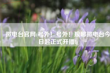 微电台官网(号外！号外！琅琊微电台今日起正式开播!)
