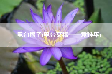 电台稿子(电台文稿——意难平)